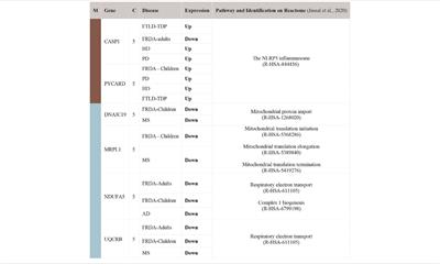 Transcriptional Analysis of Nuclear-Encoded Mitochondrial Genes in Eight Neurodegenerative Disorders: The Analysis of Seven Diseases in Reference to Friedreich’s Ataxia